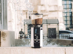 Anfim Luna 65mm Flat Burr Commercial Espresso Grinder